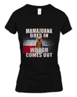 Women's Soft Style Fitted T-Shirt