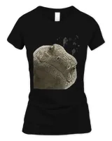 Women's Soft Style Fitted T-Shirt Women's Soft Style Fitted T-Shirt