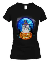 Women's Soft Style Fitted T-Shirt