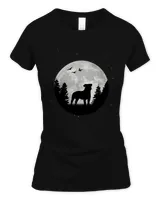 Women's Soft Style Fitted T-Shirt Women's Soft Style Fitted T-Shirt