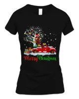 Women's Soft Style Fitted T-Shirt