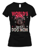 Women's Soft Style Fitted T-Shirt Women's Soft Style Fitted T-Shirt