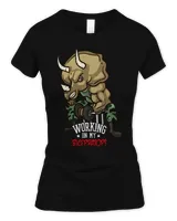 Women's Soft Style Fitted T-Shirt Women's Soft Style Fitted T-Shirt