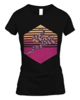 Women's Soft Style Fitted T-Shirt Women's Soft Style Fitted T-Shirt