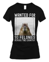 Women's Soft Style Fitted T-Shirt