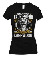 Women's Soft Style Fitted T-Shirt Women's Soft Style Fitted T-Shirt