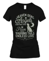 Women's Soft Style Fitted T-Shirt Women's Soft Style Fitted T-Shirt