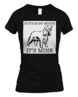 Women's Soft Style Fitted T-Shirt