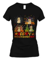 Women's Soft Style Fitted T-Shirt Women's Soft Style Fitted T-Shirt