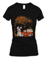 Women's Soft Style Fitted T-Shirt Women's Soft Style Fitted T-Shirt