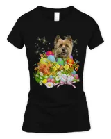 Women's Soft Style Fitted T-Shirt Women's Soft Style Fitted T-Shirt