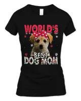 Women's Soft Style Fitted T-Shirt Women's Soft Style Fitted T-Shirt