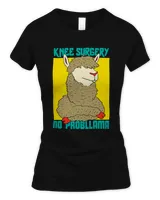 Women's Soft Style Fitted T-Shirt Women's Soft Style Fitted T-Shirt