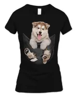 Women's Soft Style Fitted T-Shirt Women's Soft Style Fitted T-Shirt