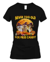 Women's Soft Style Fitted T-Shirt