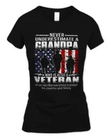 Women's Soft Style Fitted T-Shirt