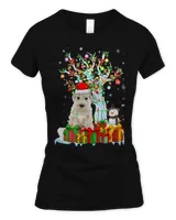 Women's Soft Style Fitted T-Shirt