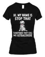 Women's Soft Style Fitted T-Shirt Women's Soft Style Fitted T-Shirt