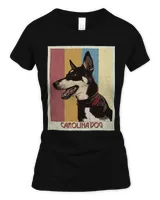 Women's Soft Style Fitted T-Shirt