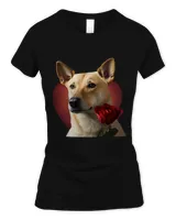 Women's Soft Style Fitted T-Shirt
