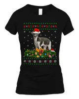 Women's Soft Style Fitted T-Shirt Women's Soft Style Fitted T-Shirt