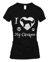 Women's Soft Style Fitted T-Shirt Women's Soft Style Fitted T-Shirt