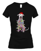 Women's Soft Style Fitted T-Shirt Women's Soft Style Fitted T-Shirt