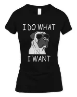 Women's Soft Style Fitted T-Shirt Women's Soft Style Fitted T-Shirt