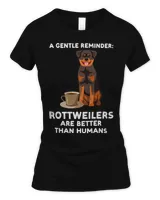 Women's Soft Style Fitted T-Shirt Women's Soft Style Fitted T-Shirt