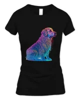 Women's Soft Style Fitted T-Shirt Women's Soft Style Fitted T-Shirt
