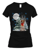 Women's Soft Style Fitted T-Shirt