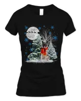 Women's Soft Style Fitted T-Shirt