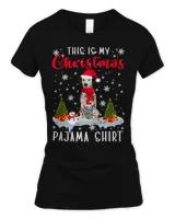 Women's Soft Style Fitted T-Shirt Women's Soft Style Fitted T-Shirt