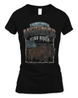 Women's Soft Style Fitted T-Shirt Women's Soft Style Fitted T-Shirt