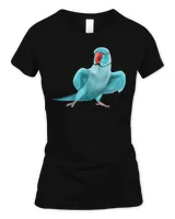 Women's Soft Style Fitted T-Shirt