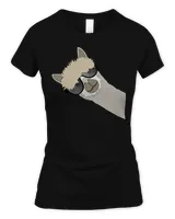 Women's Soft Style Fitted T-Shirt