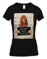 Women's Soft Style Fitted T-Shirt