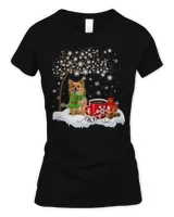 Women's Soft Style Fitted T-Shirt