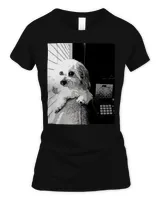 Women's Soft Style Fitted T-Shirt