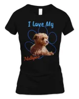 Women's Soft Style Fitted T-Shirt