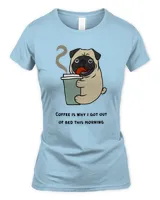 Women's Soft Style Fitted T-Shirt
