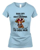 Women's Soft Style Fitted T-Shirt