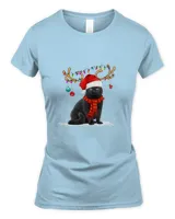Women's Soft Style Fitted T-Shirt