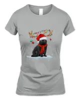 Women's Soft Style Fitted T-Shirt