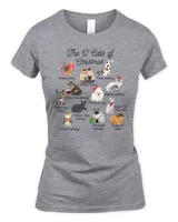 Women's Soft Style Fitted T-Shirt