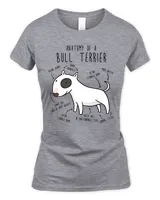 Women's Soft Style Fitted T-Shirt