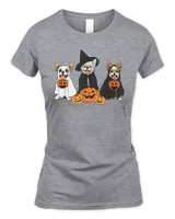 Women's Soft Style Fitted T-Shirt