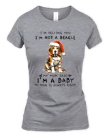 Women's Soft Style Fitted T-Shirt