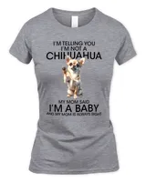 Women's Soft Style Fitted T-Shirt