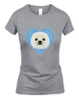 Women's Soft Style Fitted T-Shirt